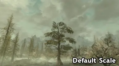 Default Scale