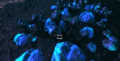 Glowgill -  Blackreach Mushrooms