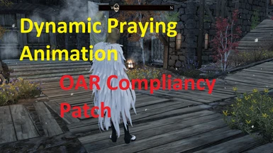 Divines Prayer Animations SE - OAR Patch