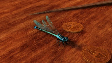 Better Dragonflies