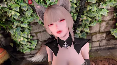Seraph 1.1