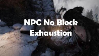 NPC No Block - Exhaustion
