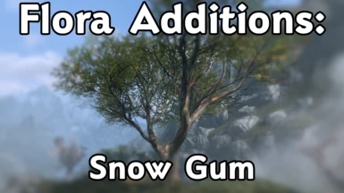 Flora Additions - Snow Gum