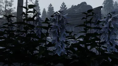 Vanilla Skyrim