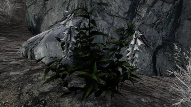 Vanilla Skyrim