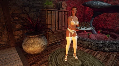 Lingerie Outfits for Paradise of Nirn Brothel Girls