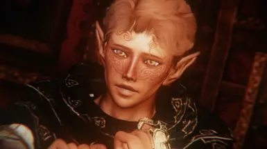 BDOR Domtur