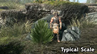 Typical Scale