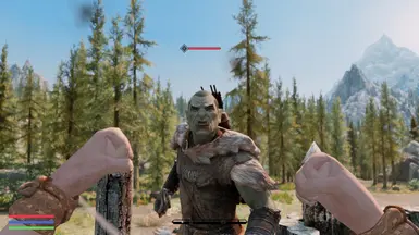TrueHUD Preset has skinned actor and boss bars.