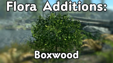 Flora Additions - Boxwood