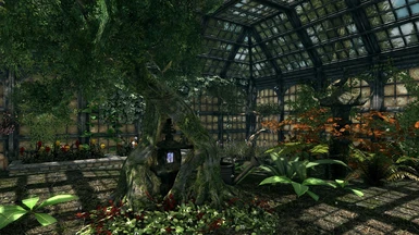 The Apothik Guild - Greenhouse 3