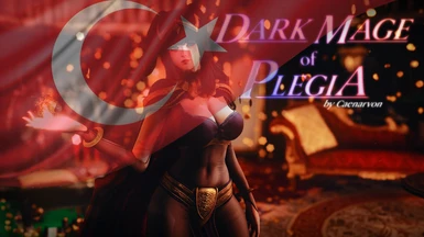 Dark Mage of Plegia - Turkish Translation
