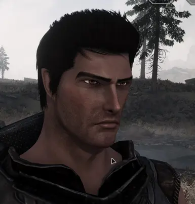 Guts inspired Male Character Preset - Nord High Poly Head at Skyrim ...