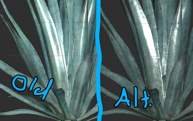 Aloe and Agave - Alternative Textures