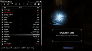 Blacksmith Apron Practicality At Skyrim Special Edition Nexus - Mods 