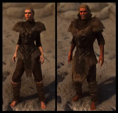 Unique Armors and Weapons Retexture SE patch - Savior'shide