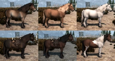 Generic NPC horses + Markarth stable horse