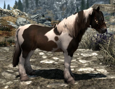 Markarth player horse (other side with blue eye)