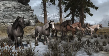 New textures for Wild Horses