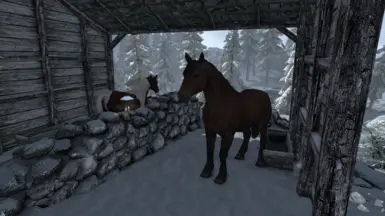 Bruma - Applewatch stable horses