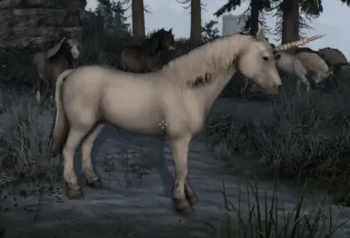 Wild Horses - classic unicorn alternative