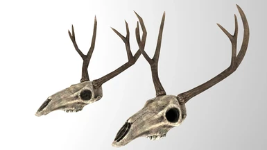 Deer Skull Horns Static Before After