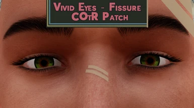 Vivid Eyes - Fissure COtR Patch