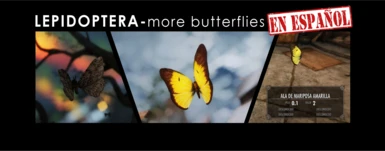 LEPIDOPTERA-MORE BUTTERFLIES AND MOTHS-Spanish translation