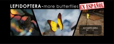 LEPIDOPTERA-MORE BUTTERFLIES AND MOTHS-Spanish translation