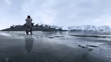 Perfect for exploring Skyrim's frozen coastline.