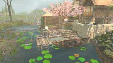Dock and Spa