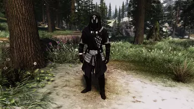 Requires Immortal Remnant mod