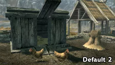 Default Example 2