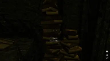 Stacks of books, what might we find?
