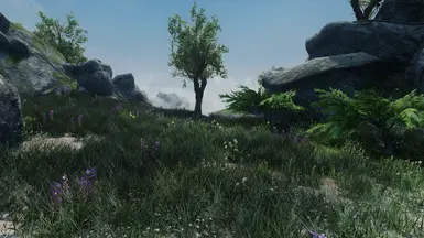 reach