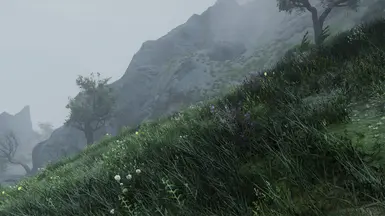reach
