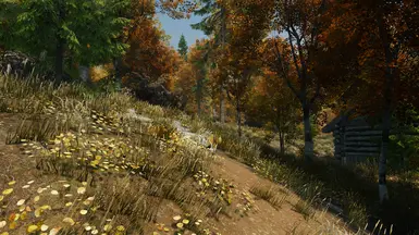 rift / fall forest