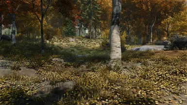 rift / fall forest