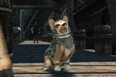 Kaidan 2 - Dog Follower Patches at Skyrim Special Edition Nexus - Mods ...