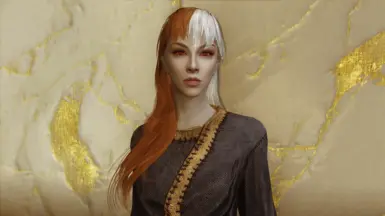Aranea Ienith - Mage - Follower