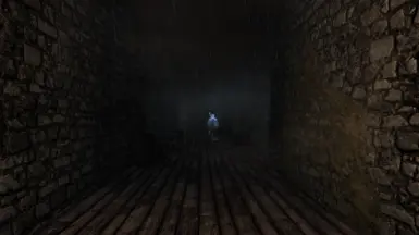 Wallwalk