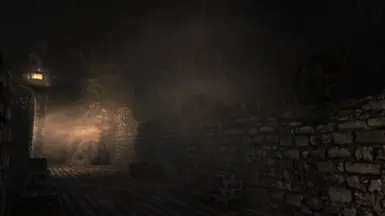 Wallwalk 2