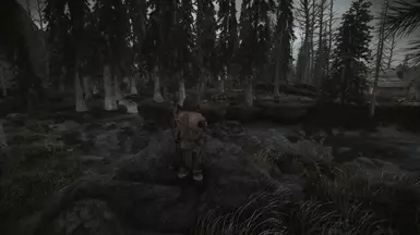 Without patch (lighting differences due to weather)