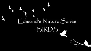 Edmond's Nature Series - BIRDS