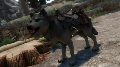 Highland Wolf