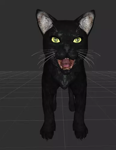 OG black kitty textures