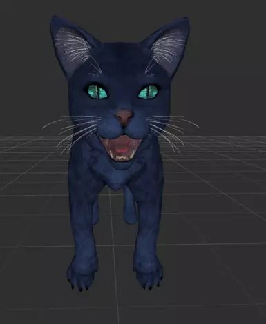 New blue kitty. 
