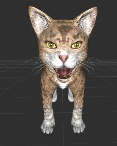 OG brown kitty
