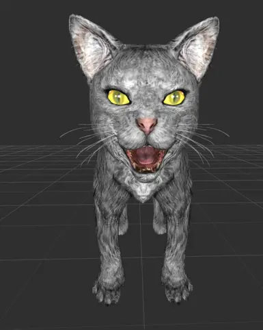 OG grey kitty