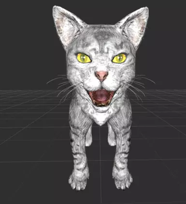 OG grey striped kitty
